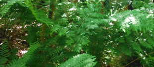 Calidad y medioambiente