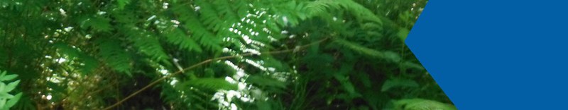 Compromiso con la calidad y el medioambiente