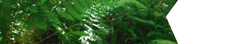 Compromiso con la calidad y el medioambiente